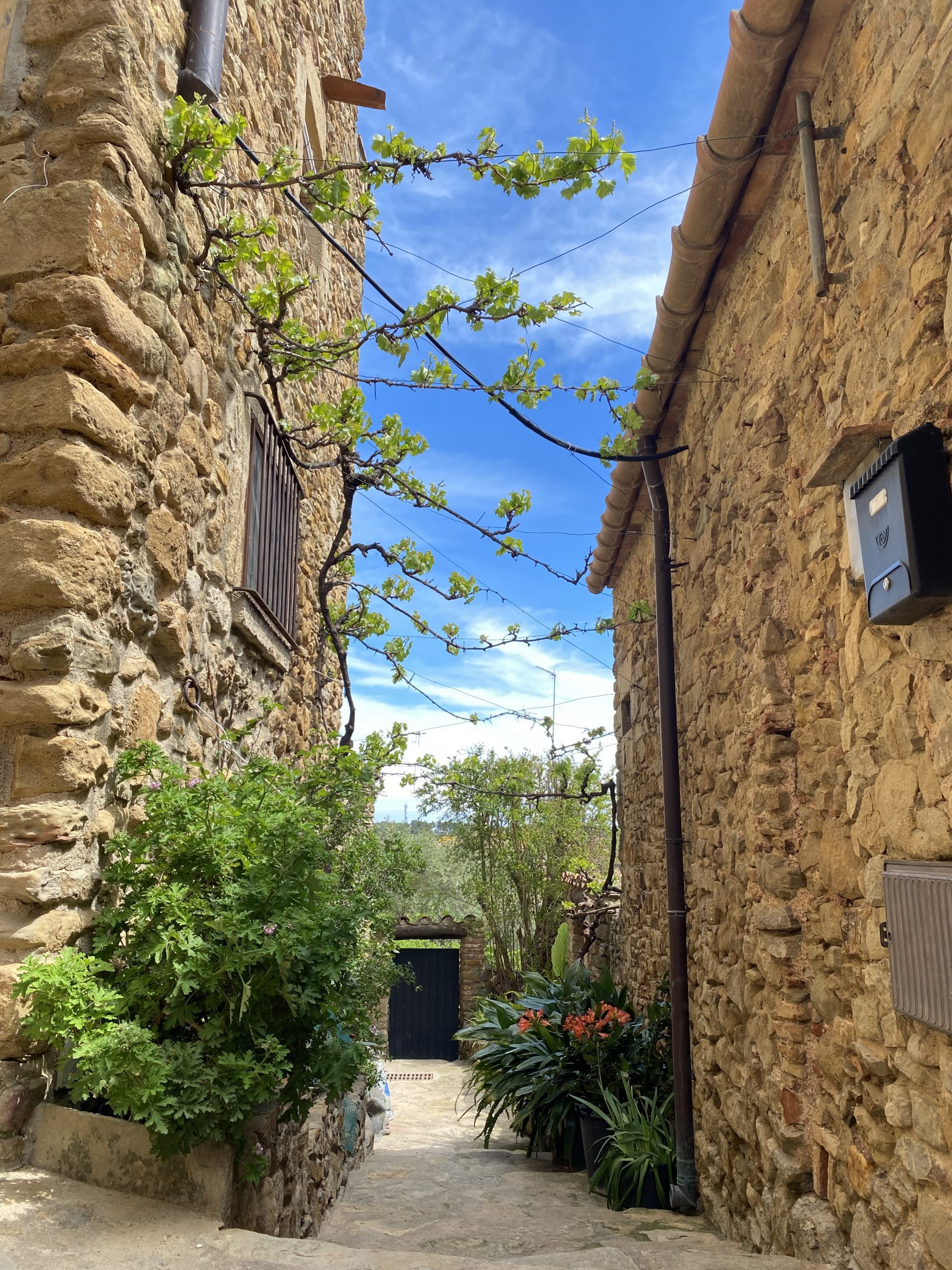 Rincones de Madremanya